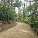 경기 안성 박두진 문학길 금광호수 둘레길 트레킹 #2 이미지