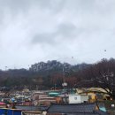 해양대반점 | 25년 겨울 목포 여행기 Fin. - 비오는 목포 유달산 등산코스