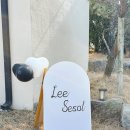 가족 | 일산 소규모 직계가족 돌잔치 후기 파롤 Parole