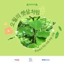 오월의햇살