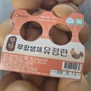 참좋은계란 | 착상에 좋은 음식, 좋은계란할인점 내돈내산 후기