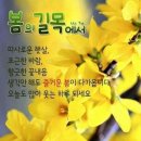 간추린 아침뉴스 (3/4) 이미지