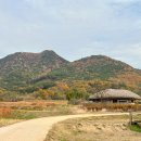 교수댁 민박 이미지