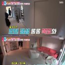 레이디제인북 티스토리