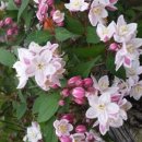 탑골농장 이미지