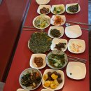 까투리 매화점 이미지