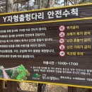 거창애도니 | 거창 Y자형 출렁다리 보러 우두산 항노화힐링랜드 다녀왔어요