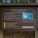 돌리네습지 초소 이미지