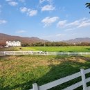 선정목장 이미지