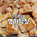 [천안 원성] 원성동맛집 천안막창 명가막창 후기