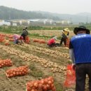 미양면사무소 이미지