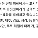 무릎관절ㅡ 방기황기탕 이미지