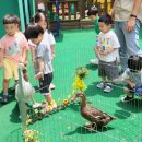 성균관어린이집 이미지