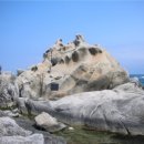 주문진메밀막국수 이미지