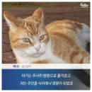 마샤 이미지