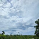 화원농협  면사무소구간 | 한여름에도 시원한 곰배령, 여름 등산 완전 추천!