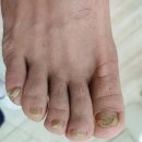 레푸스남양주다산점