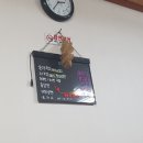 강화고동집 네이버블로그