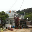 충성횟집