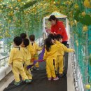 보령농축산물센터 네이버블로그