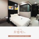 세느 | 강남 역삼역 호텔세느 클래식더블 솔직후기