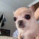 이현호 | W-5 본식 서브스냅 “혀노스냅” 계약후기