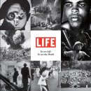 뽀꾸뽀꾸 이미지