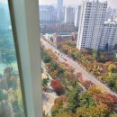 힐링 꽃과 식물 세밀화 이미지