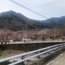 내평계곡야영장 이미지