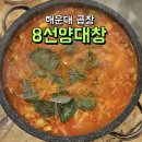 해운대 곱창 구이부터 전골까지 폭풍흡입했던 8선양대창
