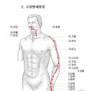 장상학설의 기본특징-(가)장부 표리관계 이미지