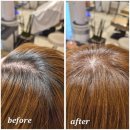 호수로430번길 | 백석 선생헤어살롱-뿌리염색 후기