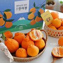 막창고 | 제주한라봉 돌창고 숙성 한라봉선물세트 제주더유스 후기