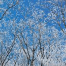 푸르른날 이미지