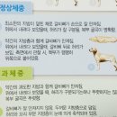 강아지 뷰티 이미지
