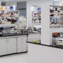 에스앤디 이미지