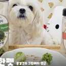 건강한펫 이미지