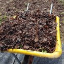 무수농장 이미지