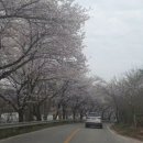 진소농장 이미지