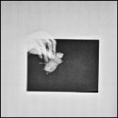 용봉동물병원 이미지