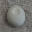 NR-26[번영로]-상-55 | [6월上] 난 잘 살아 내 걱정은 낭비야