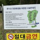 문수산 자연휴양림 야영장 이미지