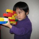 서울애견 미용실 이미지