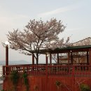 너울펜션 이미지