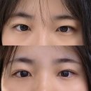 글로우뷰티 - 동래구 | 분당 서현 속눈썹펌 맛집 글로우헤나뷰티 후기