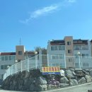 영순이해물찜 | 충주 영순이해물찜 후기｜모듬해물찜부터 볶음밥까지 완벽한 곳 내돈내산 후기