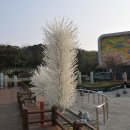 밀물회