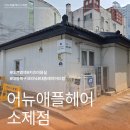 01-56 동구 | 대동염색 어뉴애플헤어 소제점에서 톤 정리하고 이미지 변신 성공 후기