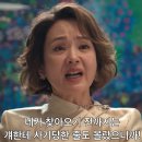 레이디 티스토리