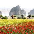 김재수 목장 이미지